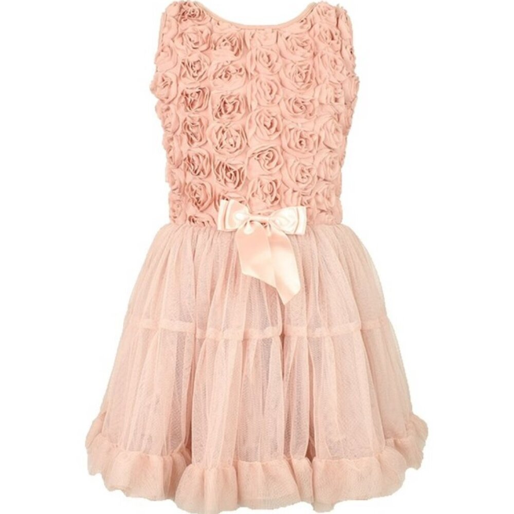 Popatu Girls Dusty Rose Color Dress Rosette Embellished Top and Tulle Skirt L